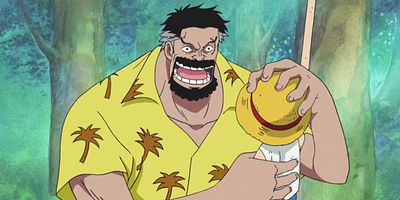 poster de la série Le chemin que chacun a choisi. Luffy contre Garp !