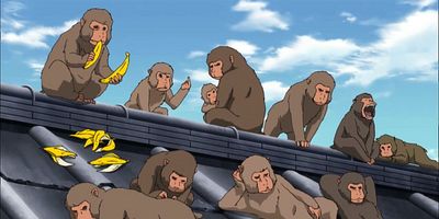 poster de la série Le nom révèle la personne