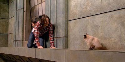 poster de la série iWon't Cancel the Show