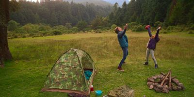 poster de la série TUSSILAGO (symb. worries)