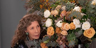 poster de la série Honte de rien