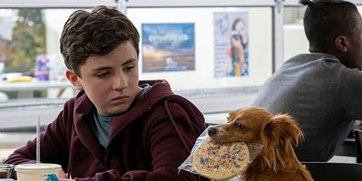 poster de la série Les présentations