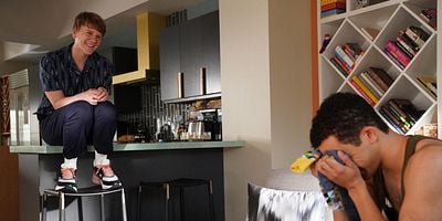 poster de la série Silkmoths