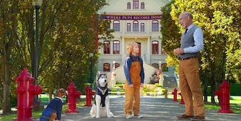 poster de la série Camarade est mon oncle