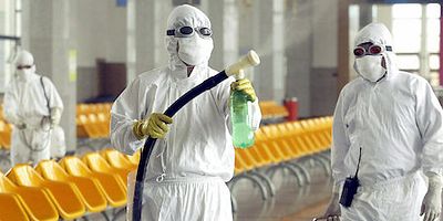 poster de la série L'intelligence animale