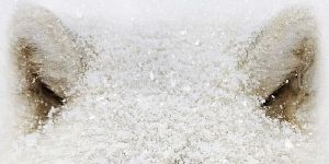 poster de la série Mountains