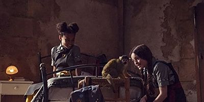 poster de la série La nouvelle