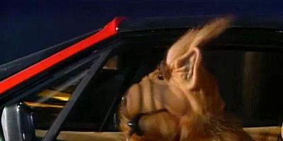 poster de la série Les souvenirs - 1ère Partie