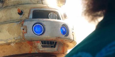 poster de la série Le zèbre de Tijuana