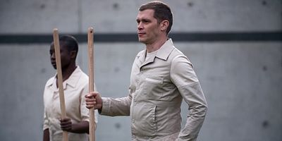 poster de la série Monogamie et Futilités - 1ère partie