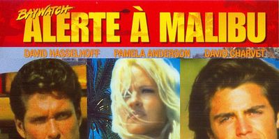 poster de la série La Vengeance de l'Australien