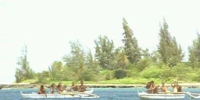 poster de la série La veuve joyeuse