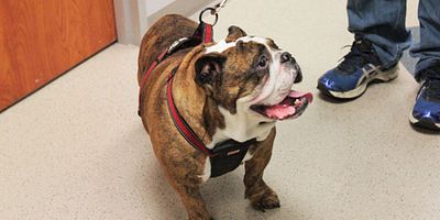 poster de la série Code rouge