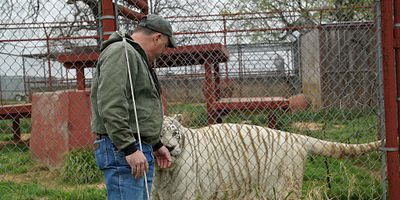 poster de la série Exercice d'incendie