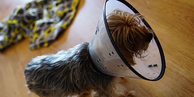 poster de la série Quelque chose de louche