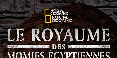 poster de la série La chambre cachée