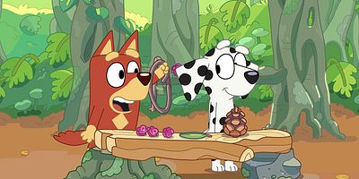 poster de la série Le Magasin