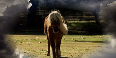 poster de la série Le p'tit Sébastien