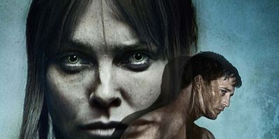 poster de la série Le don