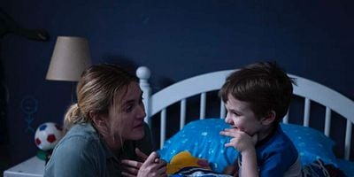 poster de la série Lady Hawk en personne