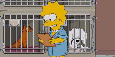 poster de la série Lisa vétérinaire