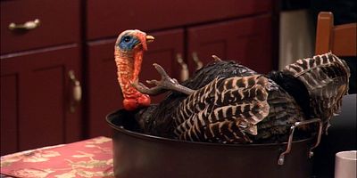 poster de la série Les Chasseurs