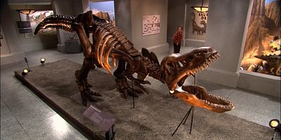 poster de la série Dino-mite