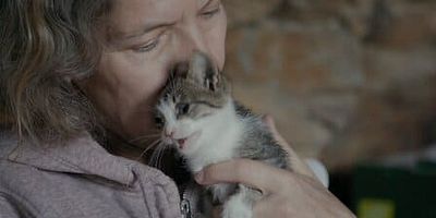 poster de la série Les chats du bon Dieu