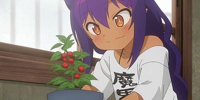 poster de la série La proprio ne rentrera pas