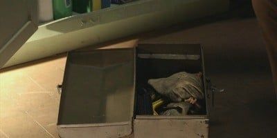 poster de la série Tout le monde déteste les magazines