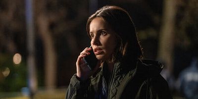 poster de la série La ronde des fous