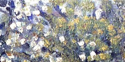 poster de la série 
