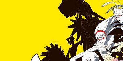poster de la série Persona 4, The Animation