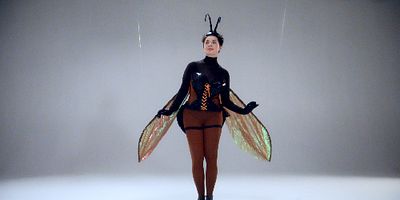 poster de la série La guêpe