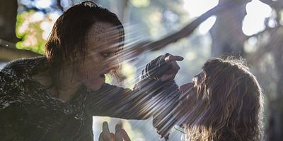 poster de la série Une douloureuse vérité