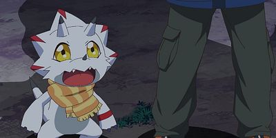 poster de la série La forêt mangeuse d'hommes