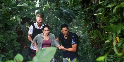 poster de la série Né sous une mauvaise étoile