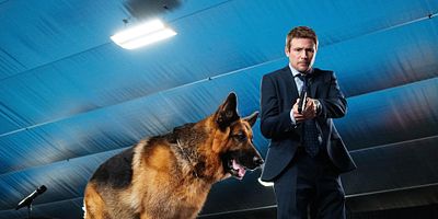 poster de la série Concours canin