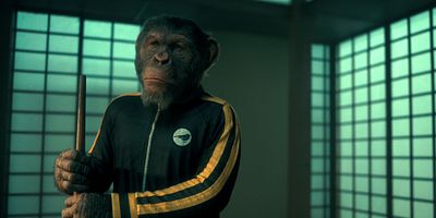 poster de la série Marigold