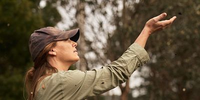 poster de la série Le dilemme