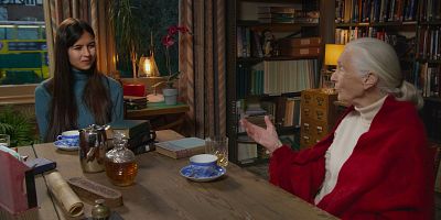 poster de la série UNE FORCE DE LA NATURE