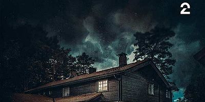 poster de la série La police