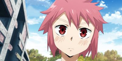 poster de la série Maimaktérion et les chevaliers animaux