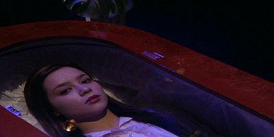 poster de la série Le choc des cultures !