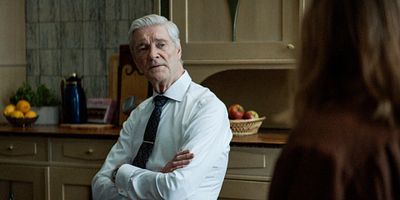 poster de la série L'article