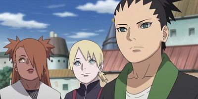 poster de la série Le Statut