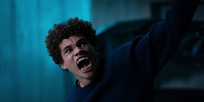 poster de la série Le souffle du lion