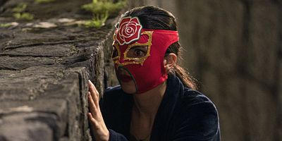 poster de la série Le nouveau El Manchas