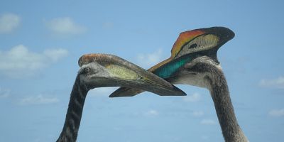 poster de la série Les îles