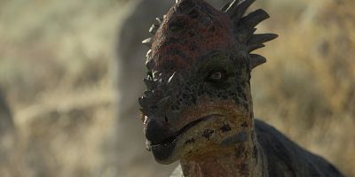 poster de la série Les marécages